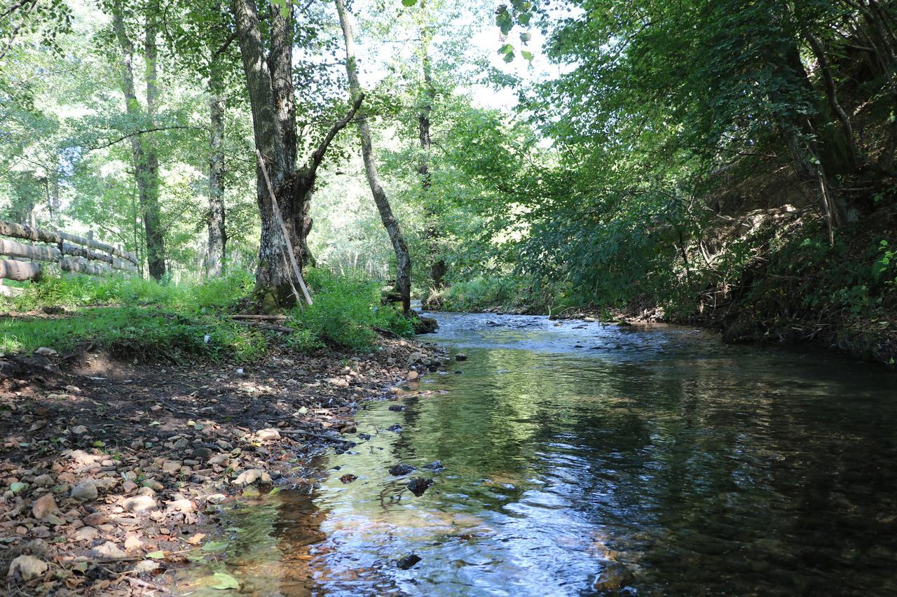 Eco Camp Dzogaska Vrela Ξενοδοχείο Πλιέβλια Εξωτερικό φωτογραφία