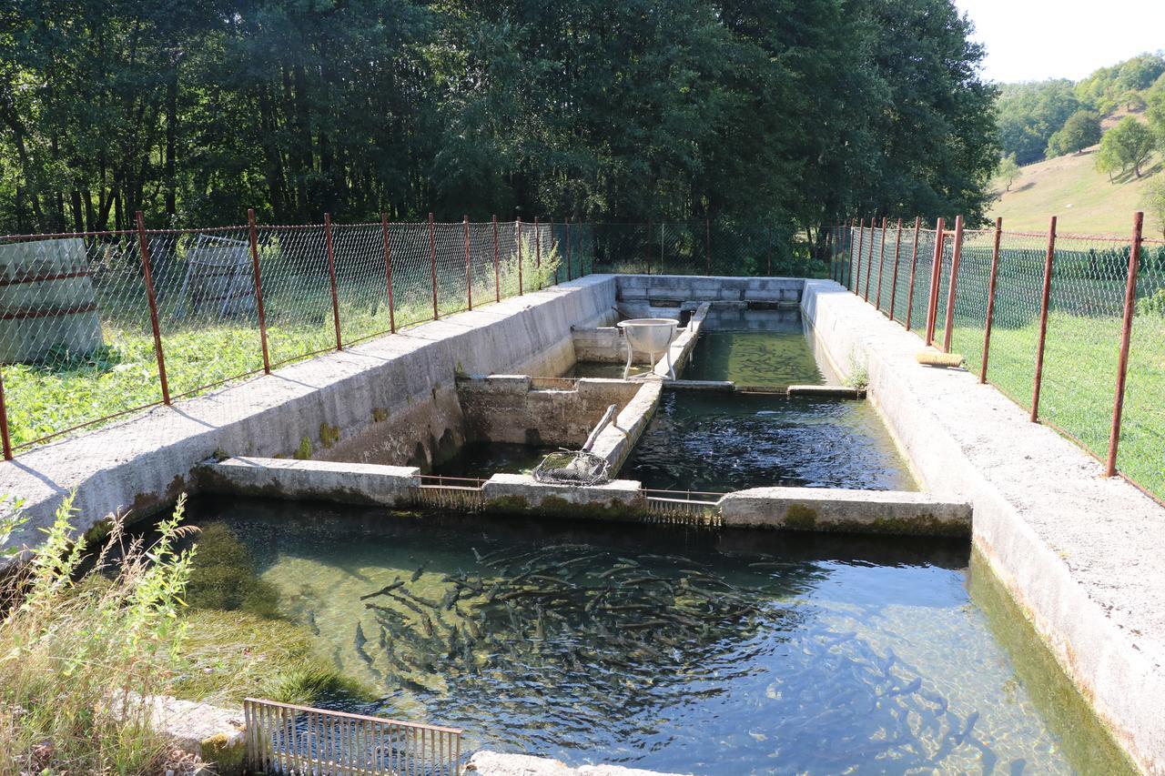 Eco Camp Dzogaska Vrela Ξενοδοχείο Πλιέβλια Εξωτερικό φωτογραφία
