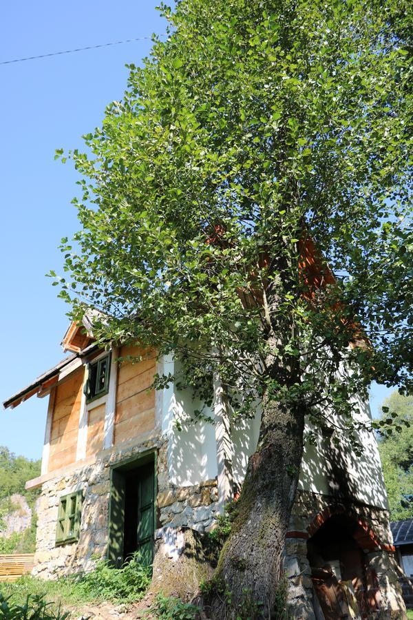 Eco Camp Dzogaska Vrela Ξενοδοχείο Πλιέβλια Εξωτερικό φωτογραφία